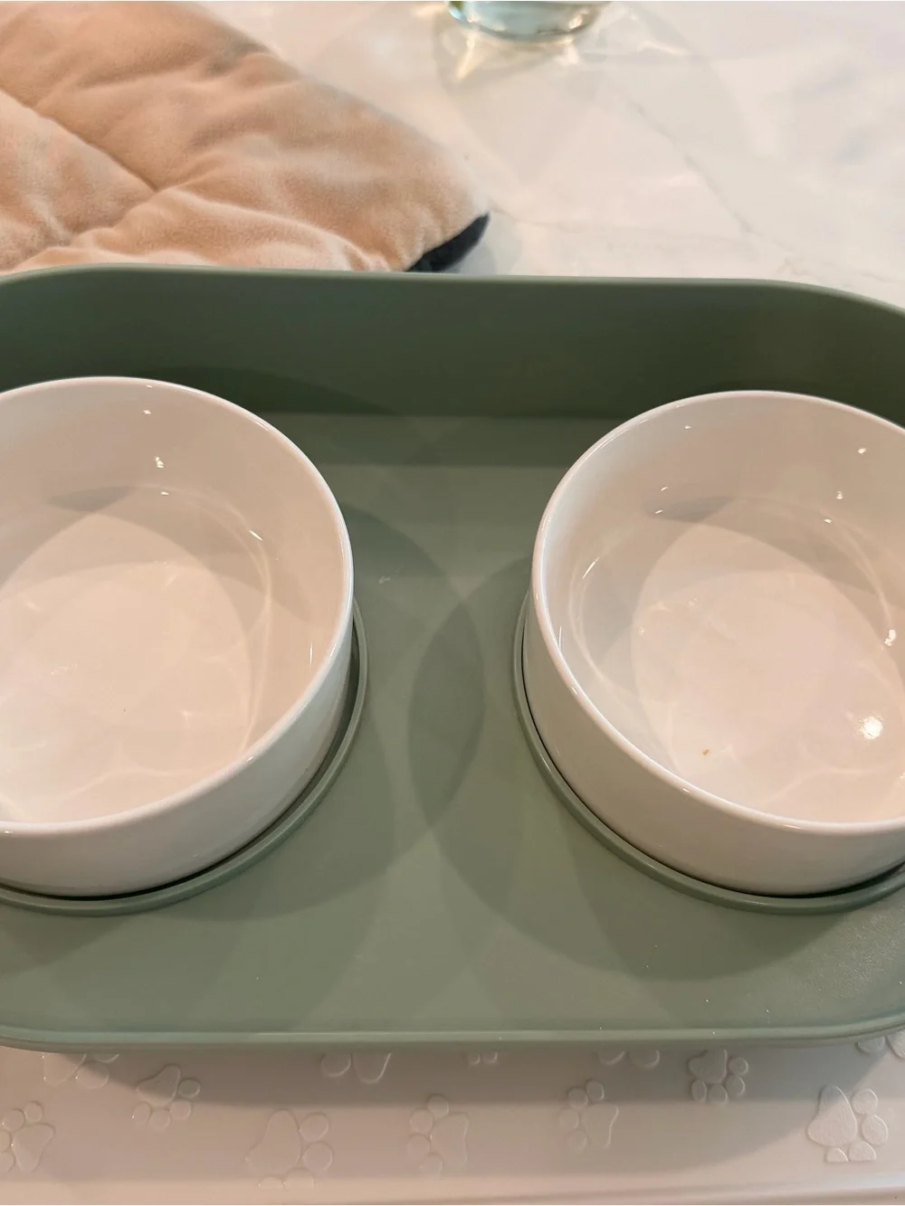 Mint Elevated Pet Bowl Set with Pet Placement Mat and Padded Mat for SmallKennel